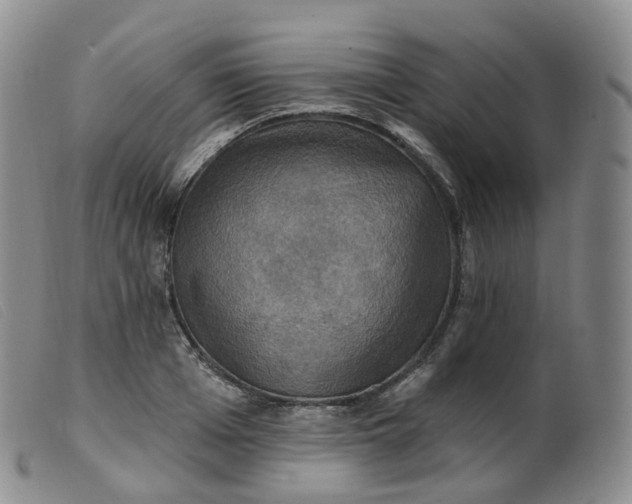 X0000099380985200805221801