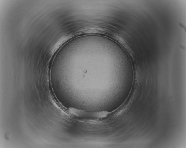 X0000099380986200805221801