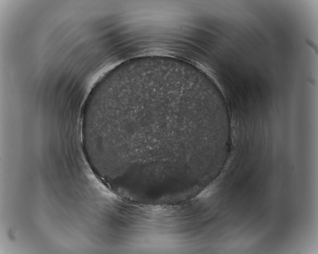 X0000099380987200805221801