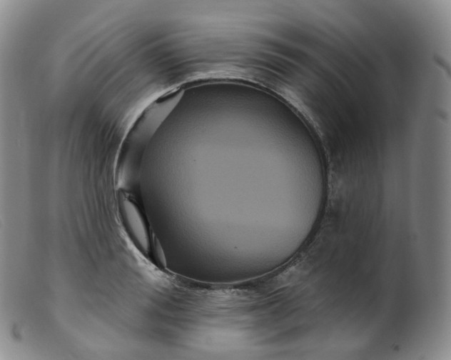 X0000099380988200805221801