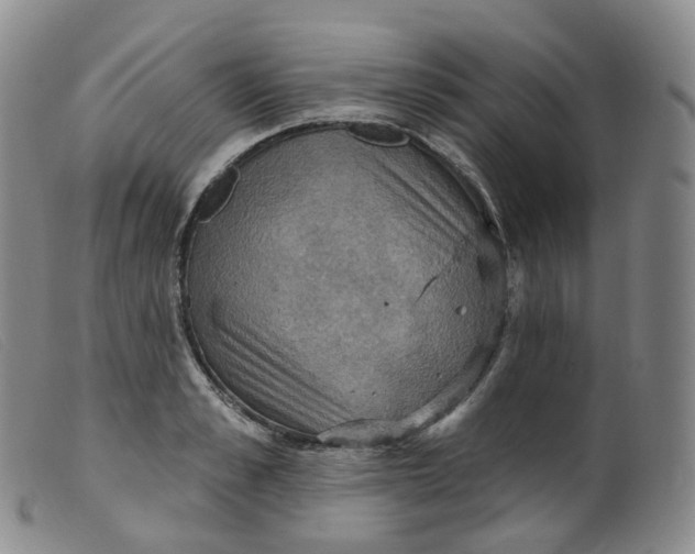 X0000099380989200805221801