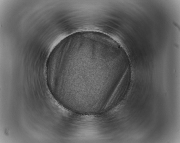 X0000099380990200805221801