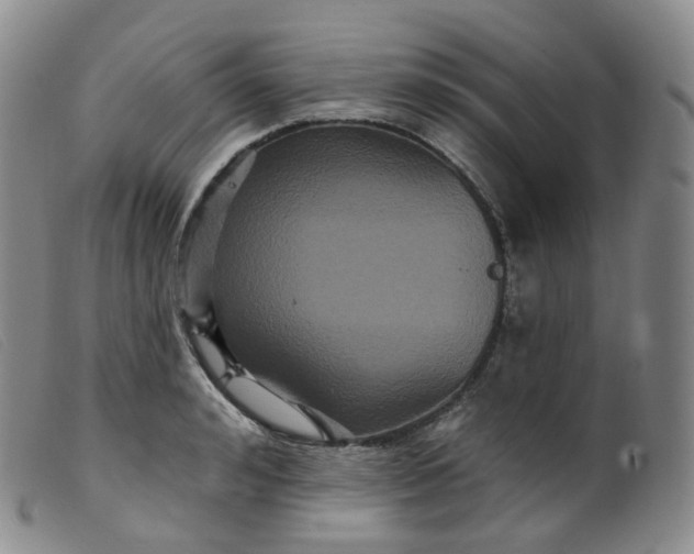 X0000099380992200805221801