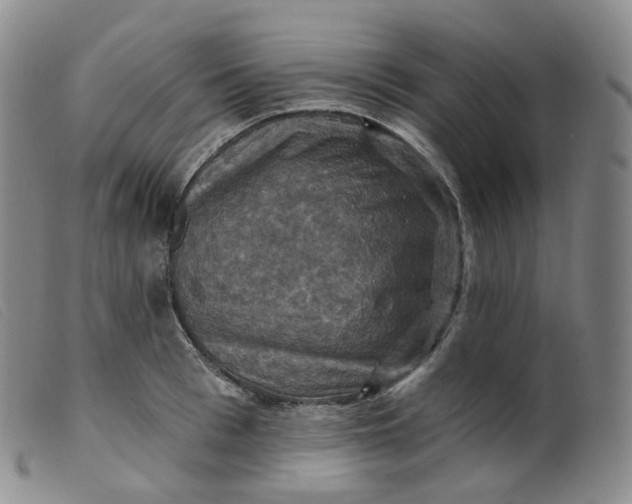 X0000099380993200805221801