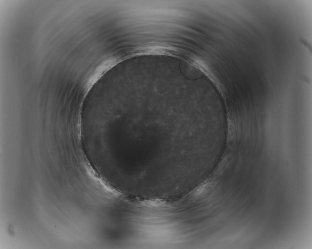 X0000099380994200805221801