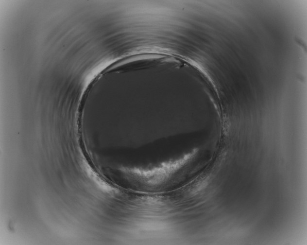 X0000099380995200805221801