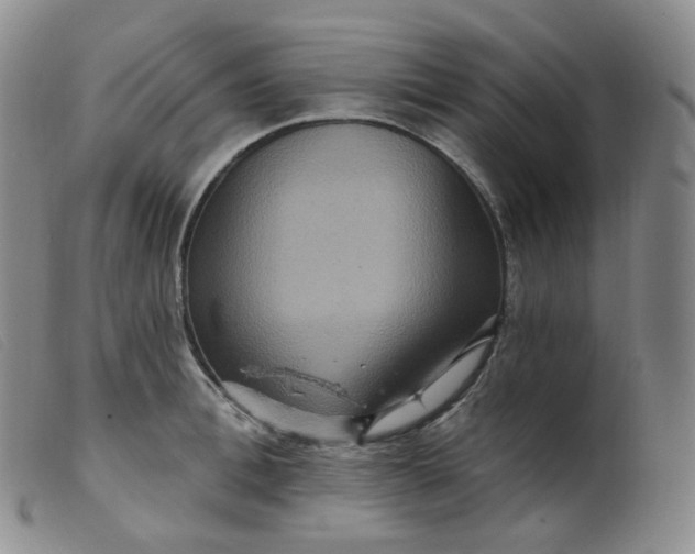 X0000099380996200805221801