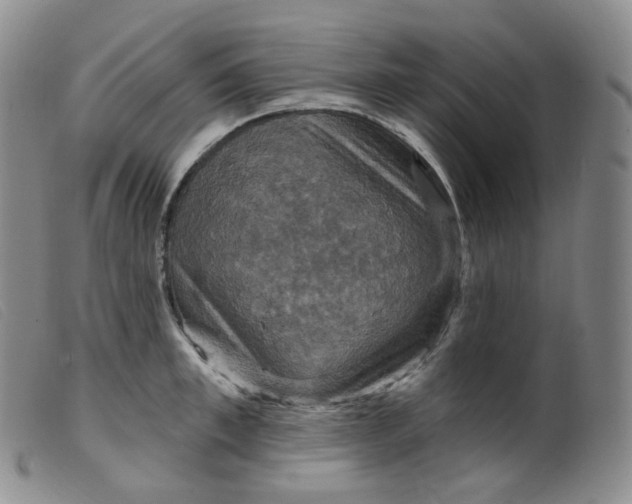 X0000099380997200805221801