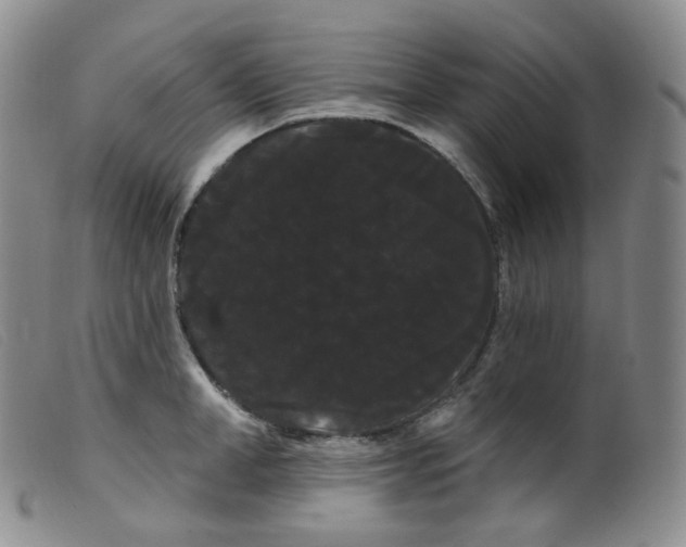 X0000099380998200805221801