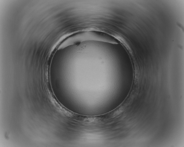 X0000099381000200805221801