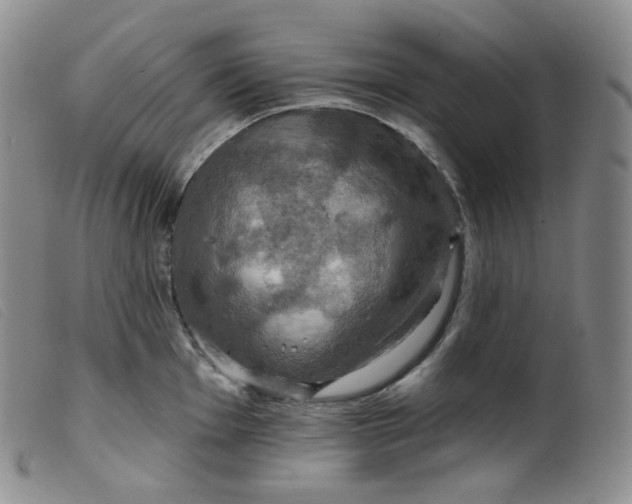 X0000099381001200805221801