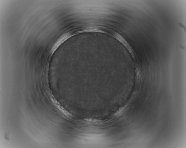 X0000099381002200805221801