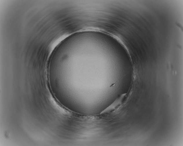 X0000099381003200805221801