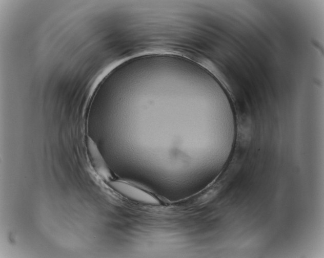 X0000099381004200805221801