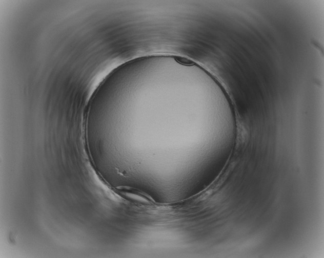 X0000099381006200805221801