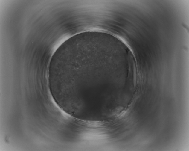 X0000099381007200805221801