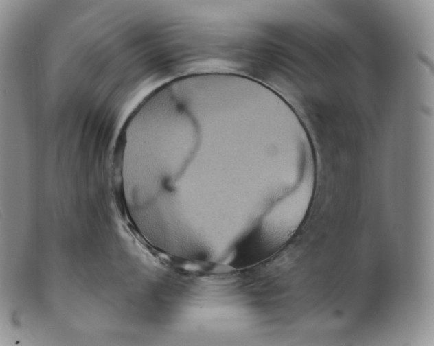 X0000099381008200805221801