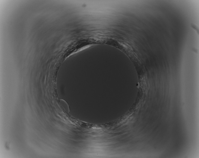 X0000099381009200805221800