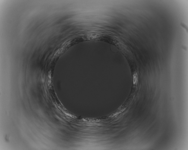 X0000099381011200805221800