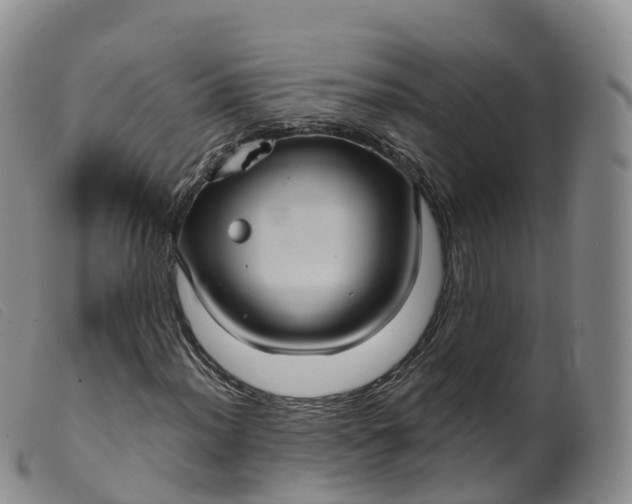 X0000099381012200805221800