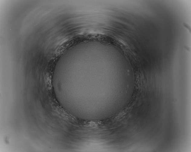 X0000099381013200805221800