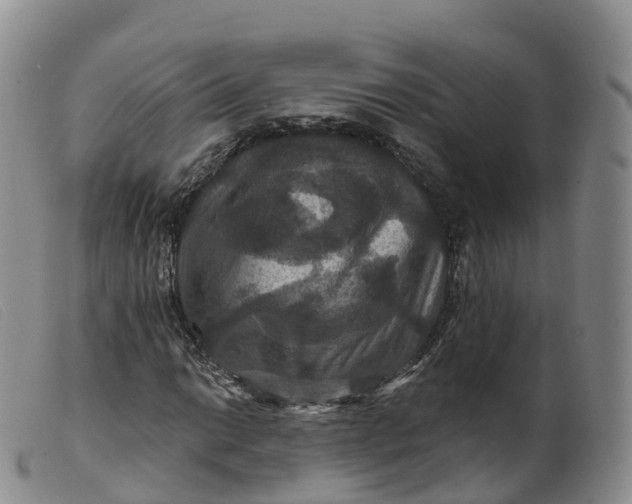 X0000099381014200805221800