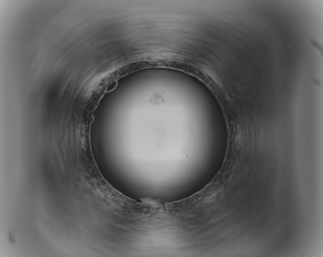 X0000099381016200805221800