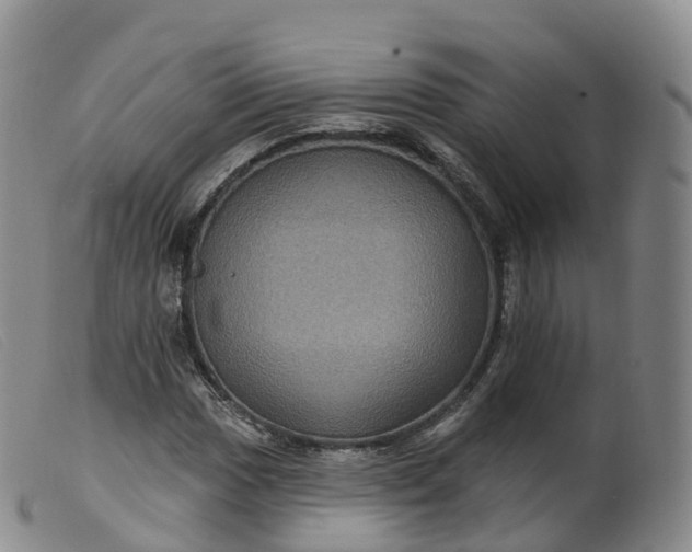 X0000099381017200805221800