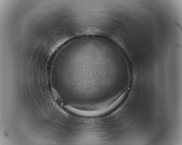 X0000099381018200805221800