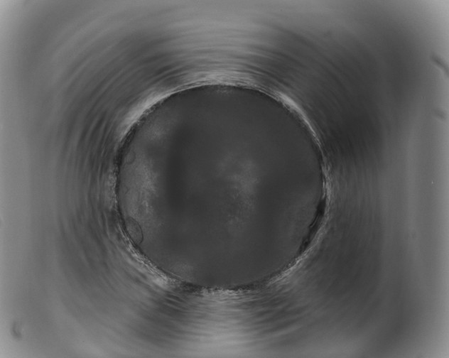 X0000099381019200805221800