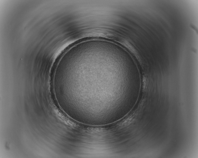 X0000099381020200805221800