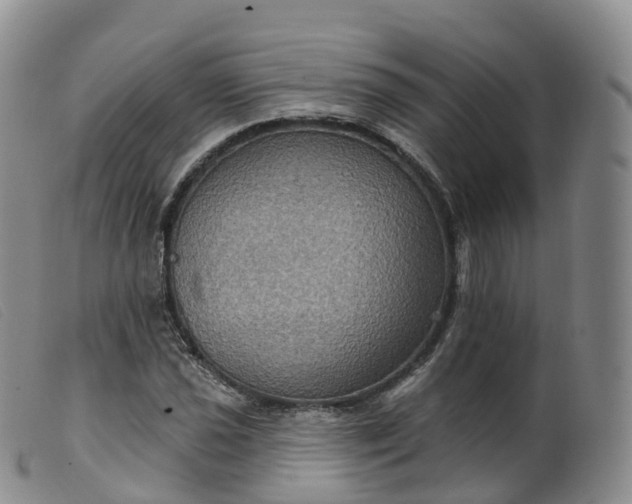 X0000099381021200805221800