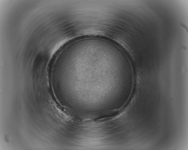 X0000099381022200805221800