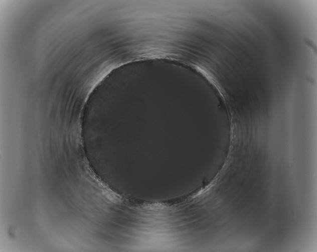 X0000099381023200805221801