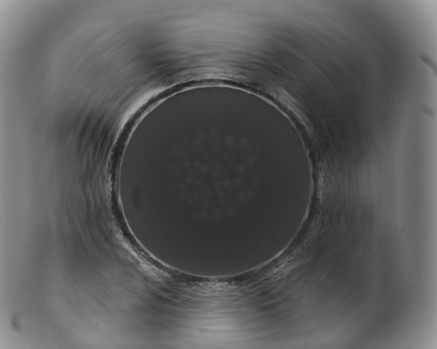 X0000099381024200805221801