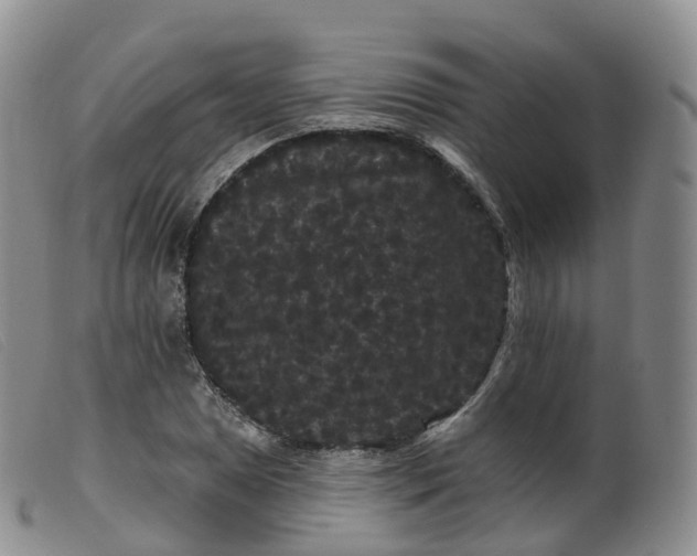 X0000099381025200805221801