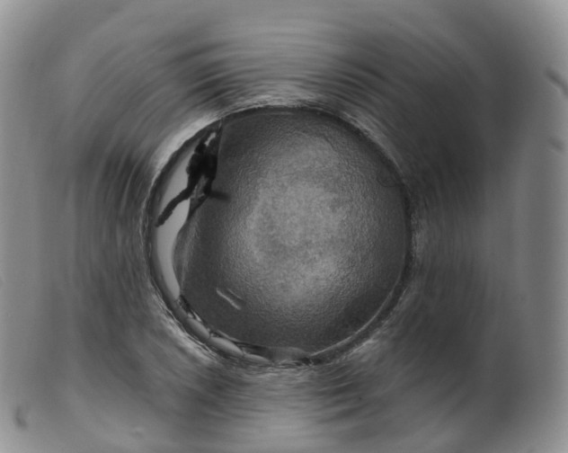 X0000099381026200805221801