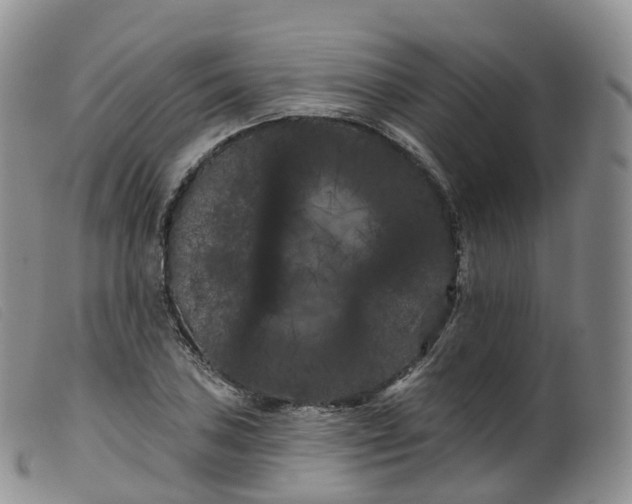 X0000099381027200805221801