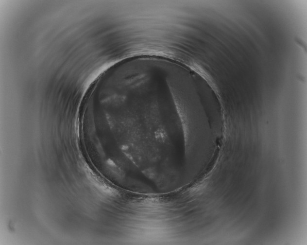 X0000099381028200805221801