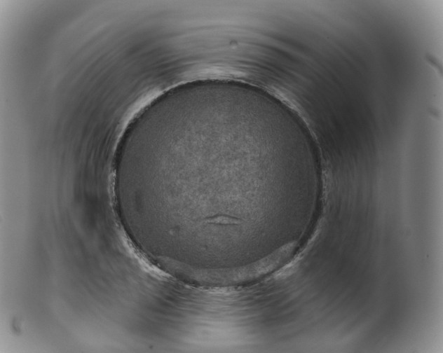 X0000099381029200805221801