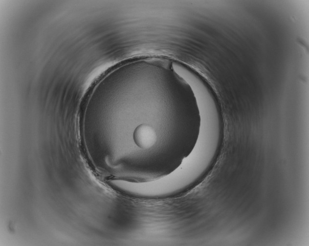 X0000099381030200805221801