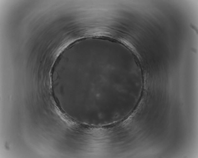 X0000099381031200805221801