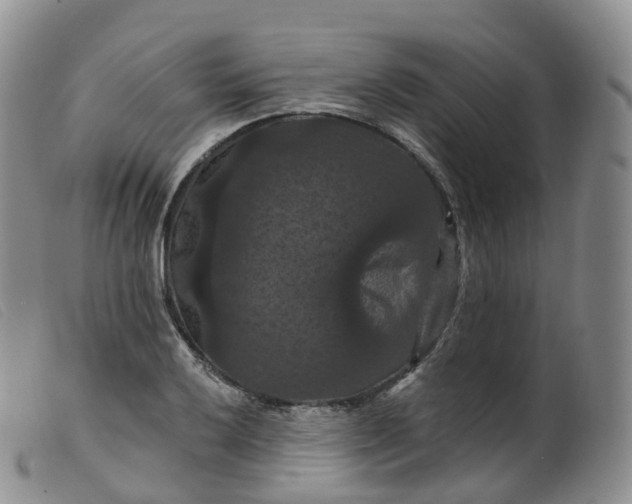 X0000099381032200805221801