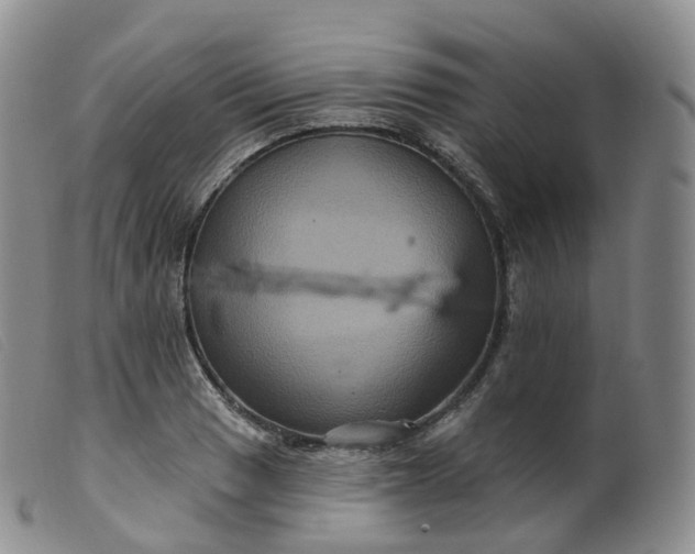 X0000099381033200805221801