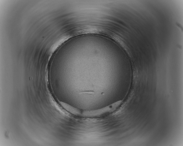 X0000099381034200805221801