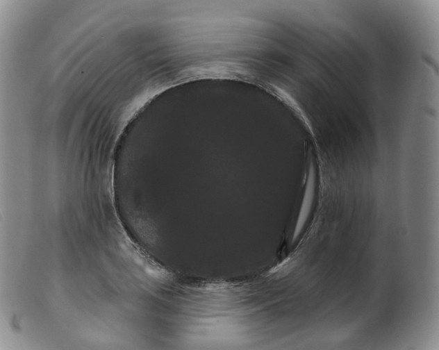 X0000099381035200805221801