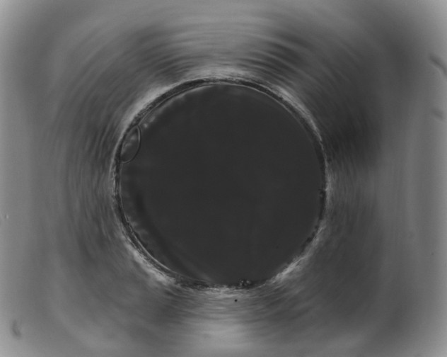 X0000099381037200805221801