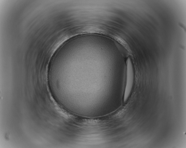 X0000099381039200805221801