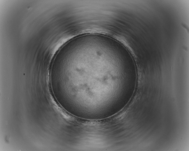 X0000099381040200805221801