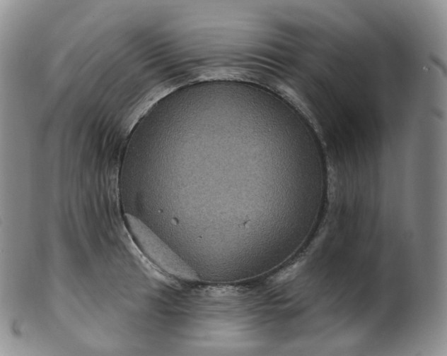 X0000099381041200805221801